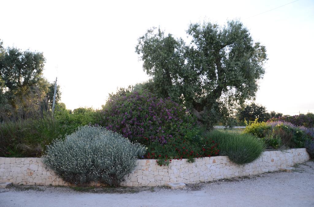 Agriturismo Tenuta Chianchizza مونوبولي المظهر الخارجي الصورة